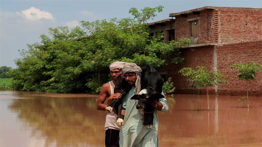 Punjab floods washed away thousands of villages and farms; now the devastation threatens Pakistan's economy