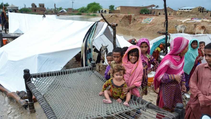 Flood-hit Punjab sees upsurge of vector-borne diseases: WHO