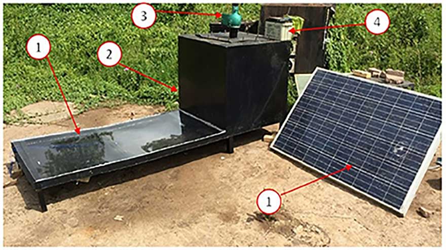 Scientists turn to red onion to improve solar cells