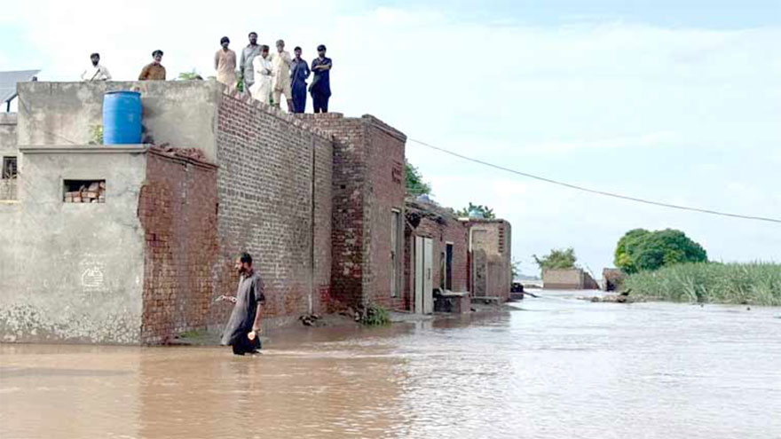 Death toll from floods in Punjab rises to 41: PDMA