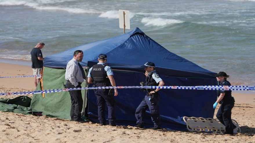 Surfer dies after shark bite at Sydney beach