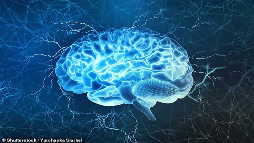 Scientists find musical link to boosting brain function for life