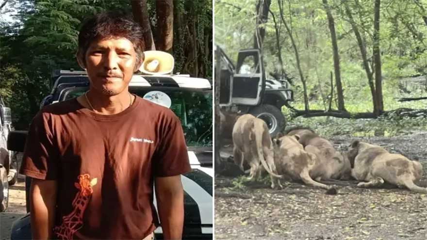 Zookeeper eaten alive by pack of lions at safari park