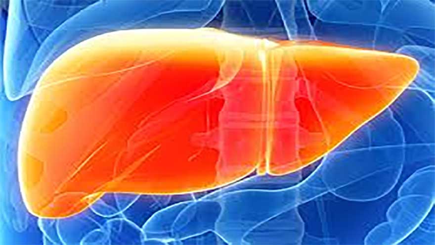 Scientists discover key cause of deadly liver disease