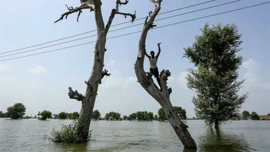 Hundreds of villages in Multan, Rahim Yar Khan, Rajanpur, and Vehari flooded