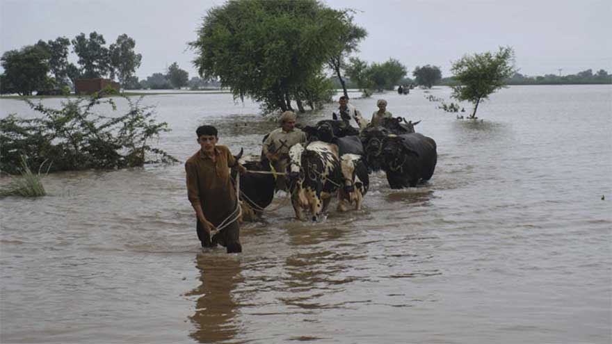 Floodwaters recede in Punjab, pressure on barrages in Sindh persists