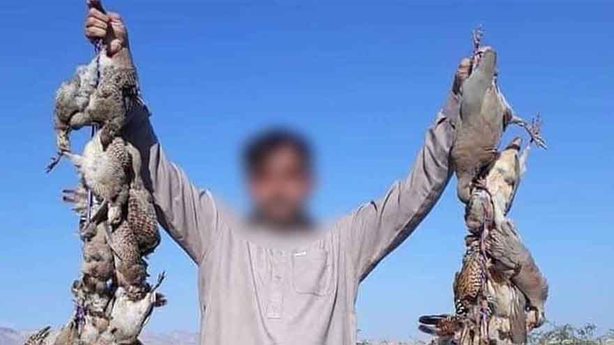 New regulations issued for duck, waterfowl hunting in KP