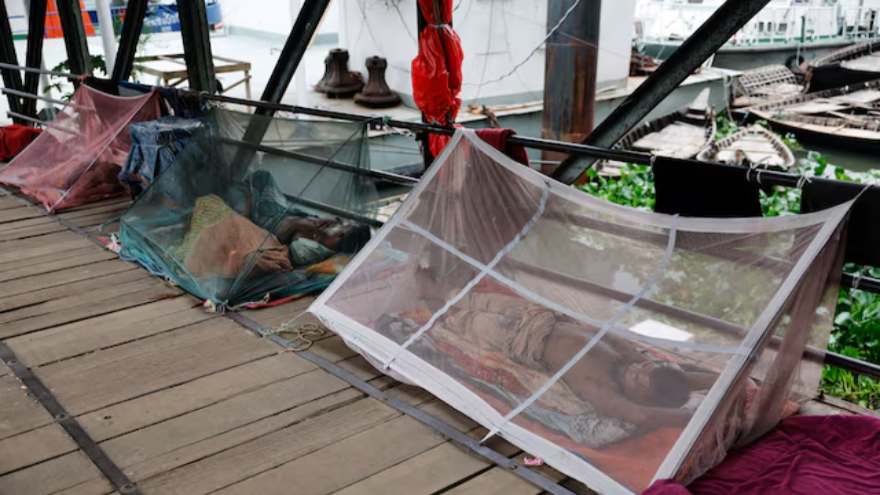 Bangladesh sees worst single-day surge in dengue cases and deaths this year