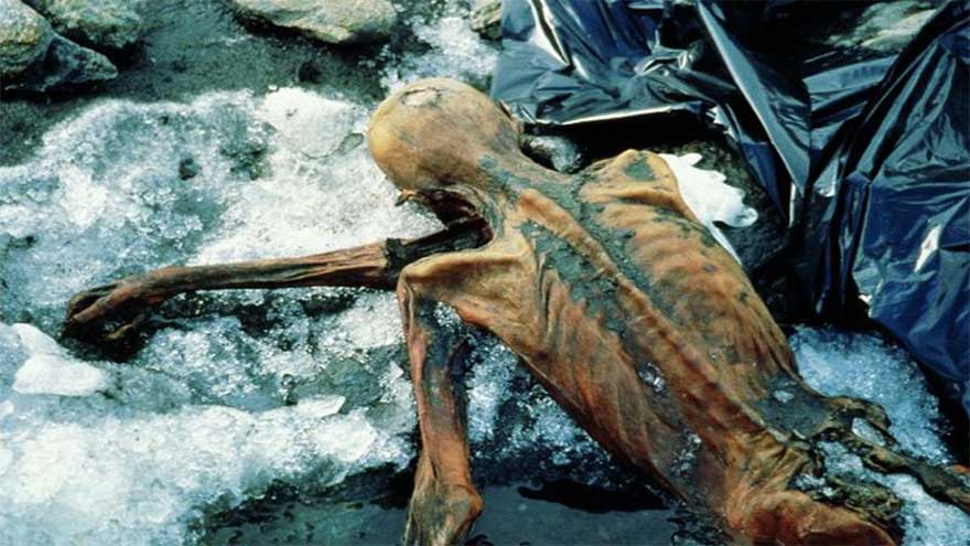 The Iceman mummy who was murdered 5,300 years ago in Alps