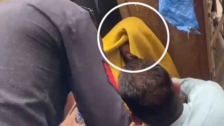 Man accused of abusing multiple children admits guilt before magistrate