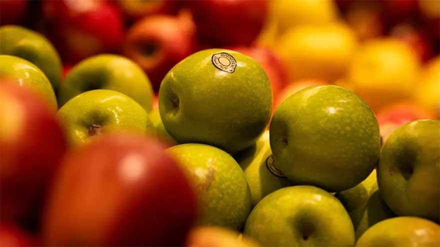 Dunya News Journal retracts study linking apple cider vinegar to weight loss