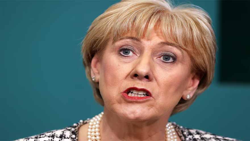 Ex-minister, football coach and left winger vie for Irish presidency