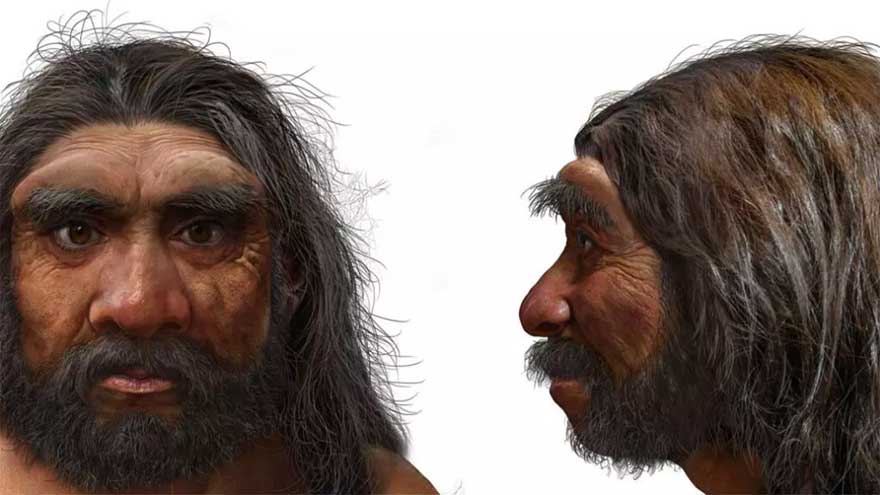 Million-year-old skull could change human evolution timeline
