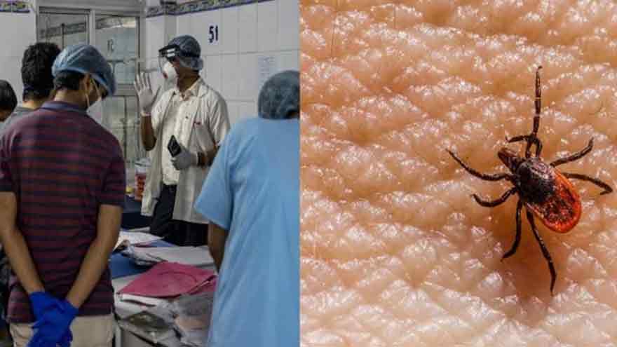 Congo virus claims third life in Karachi this year