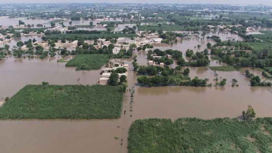Pressure at Kotri barrage, water enters villages, rice, other crops destroyed
