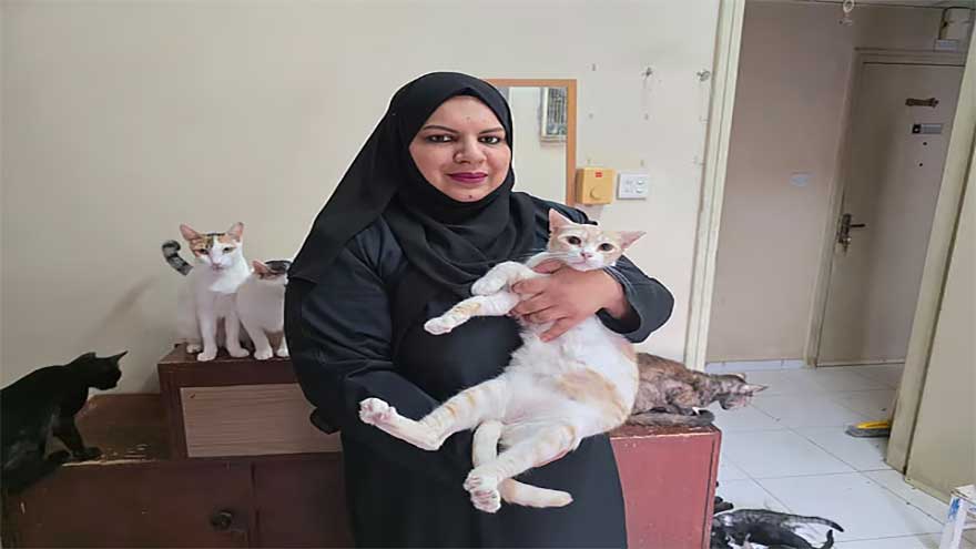 Pakistani expat caring for 65 rescued cats faces eviction deadline in Dubai