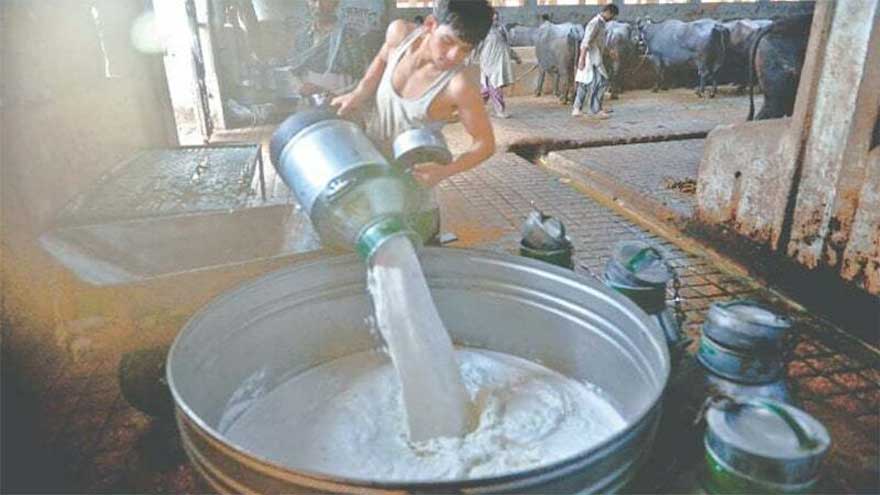 Karachi milkmen call for Rs50 per litre hike in milk rates