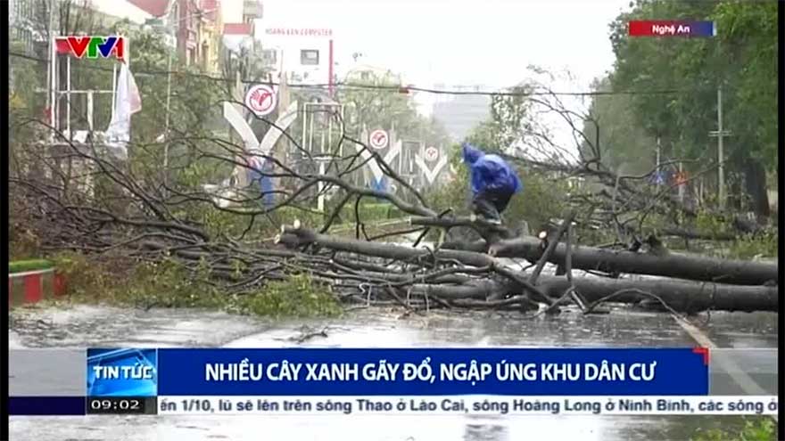 Eight dead and 17 missing as Typhoon Bualoi hits Vietnam