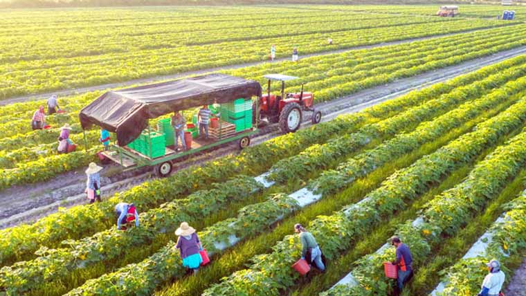 چھوٹے کاشتکاروں کیلئے ڈیزل سبسڈی پلان تیار، فی ایکڑ 1500 روپے دینے کی تجویز