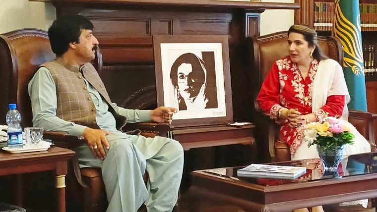 گورنر پنجاب سے پیپلز پارٹی رہنماؤں کی ملاقاتیں، سیاسی صورتحال پر گفتگو