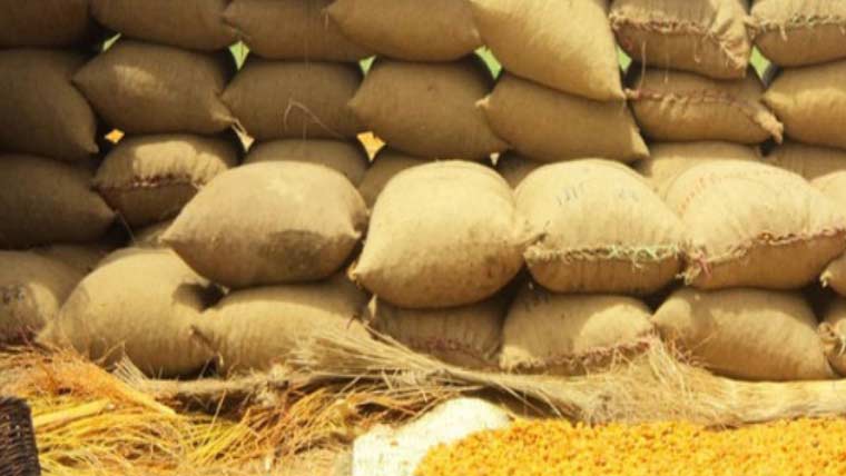 سندھ میں سرکاری گندم میں مٹی ملائے جانے کا انکشاف