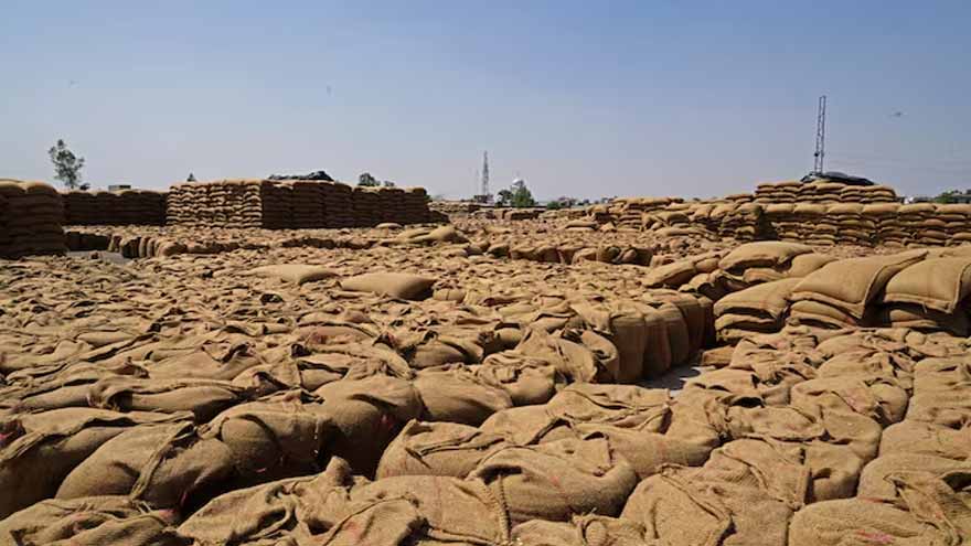 Dunya News World food price rise set to continue if Iran war lasts, FAO says