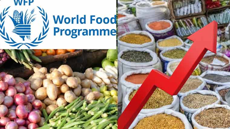 مارچ میں عالمی خوراک کی قیمتوں میں نمایاں اضافہ ریکارڈ