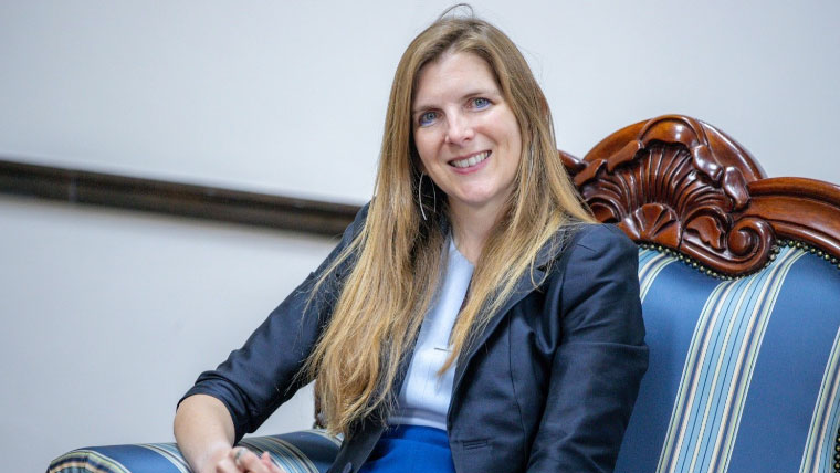 برطانوی ہائی کمشنر کا جنگ بندی میں پاکستانی سفارتی کوششوں پر اظہار تشکر