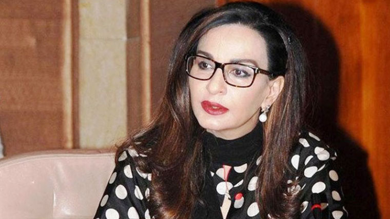 جنگ بندی میں صدر زرداری کا بھی پسِ پردہ کردار رہا ہے: شیری رحمان