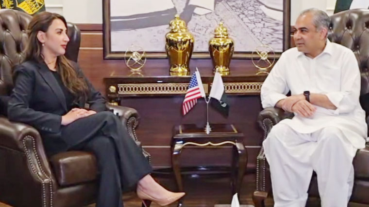 محسن نقوی سے امریکی سفیر کی ملاقات، مذاکرات کے انتظامات پر گفتگو