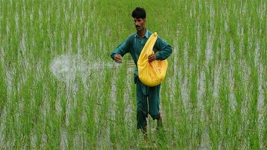Govt reviews fertilizer supplies amid global supply disruptions