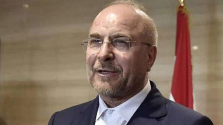 پاکستان میں انتہائی مفصل، سنجیدہ اور چیلنجز سے بھرپور مذاکرات کئے: ایرانی سپیکر