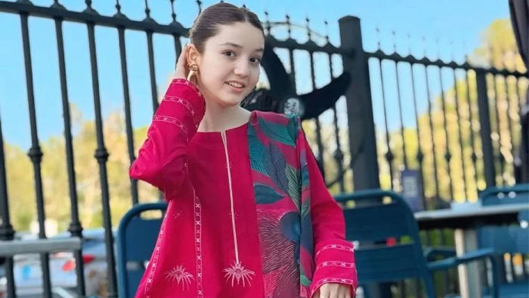 ثنا یوسف قتل کیس؛ ٹرائل کورٹ پر عدم اعتماد، ملزم کی درخواست پر فیصلہ محفوظ