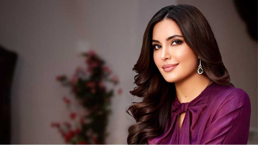 Hamza Ali Abbasi and Dr Fazeela Abbasi interim bail extended in Islamabad money laundering case