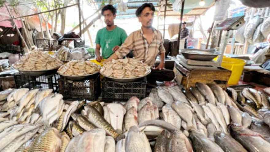 Pakistan gets approval to export fish to Russia