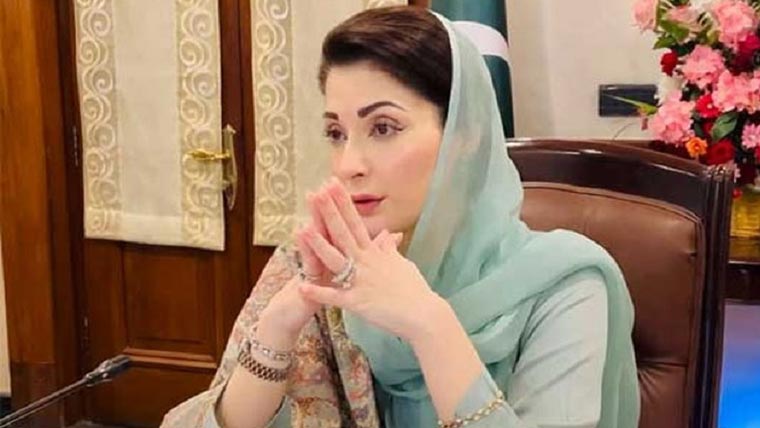 وزیراعلیٰ پنجاب مریم نواز شریف کی زیر صدارت اجلاس، ہیلتھ سیکٹر کا جائیزہ لیا گیا