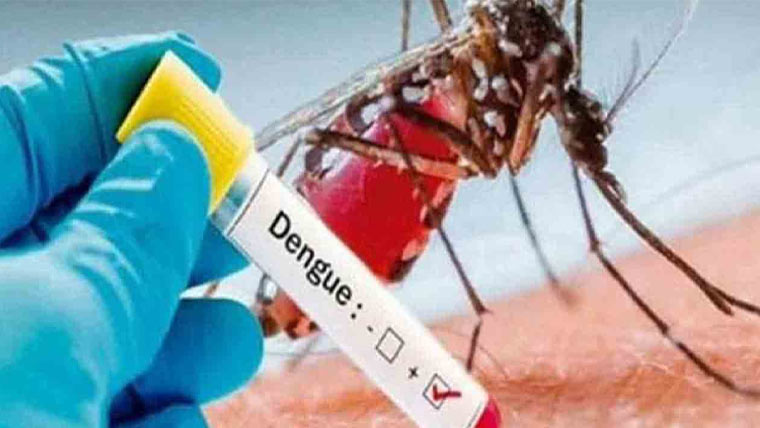 لاہور سمیت پنجاب بھر میں 16 ڈینگی کیسز رپورٹ