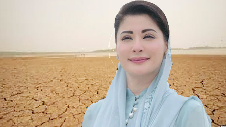 شرمپ فارمنگ کے انقلابی منصوبوں پر پیشرفت، بنجر زمینیں معاشی زونز میں تبدیل