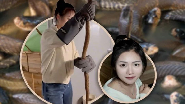 خاتون کا ہزاروں سانپ پالنے کا خطرناک کاروبار، سالانہ لاکھوں یوان آمدن