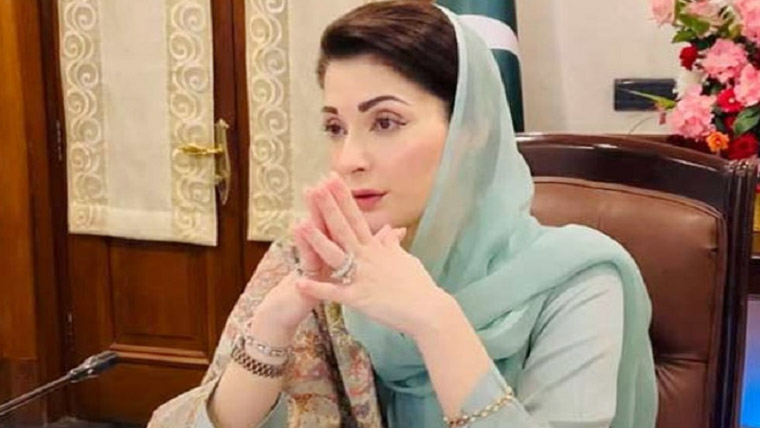 زمین کو سرسبز بنانا موسمیاتی تبدیلی کیخلاف سب سے بڑا ہتھیار ہے: مریم نواز