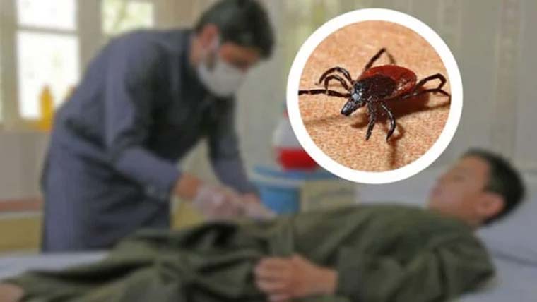 سندھ میں کانگو ہیمرجک فیور کے پہلے کیس کی تصدیق