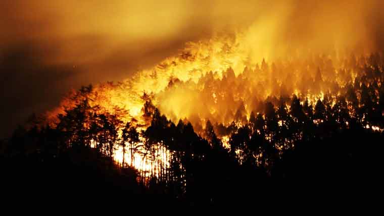 جاپان کے جنگلات میں ہولناک آتشزدگی، لوگوں کو محفوظ مقامات پر منتقل ہونے کی ہدایت