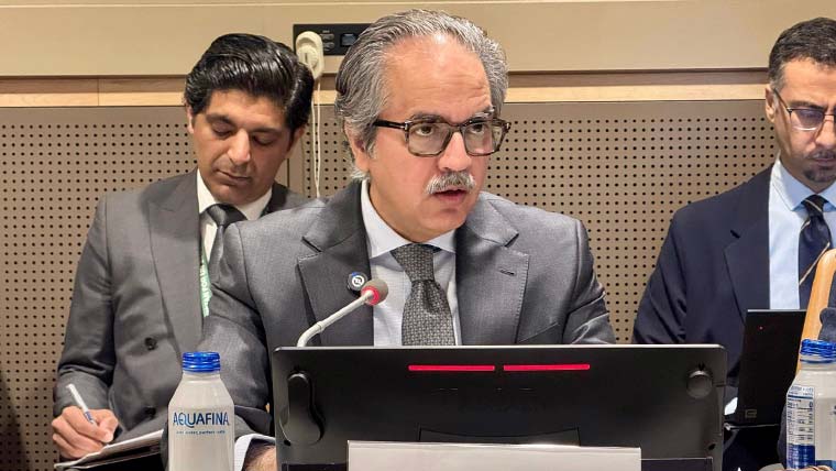 اقوام متحدہ میں انسداد دہشت گردی مباحثہ، بی ایل اے، ٹی ٹی پی کے خطرات پر غور