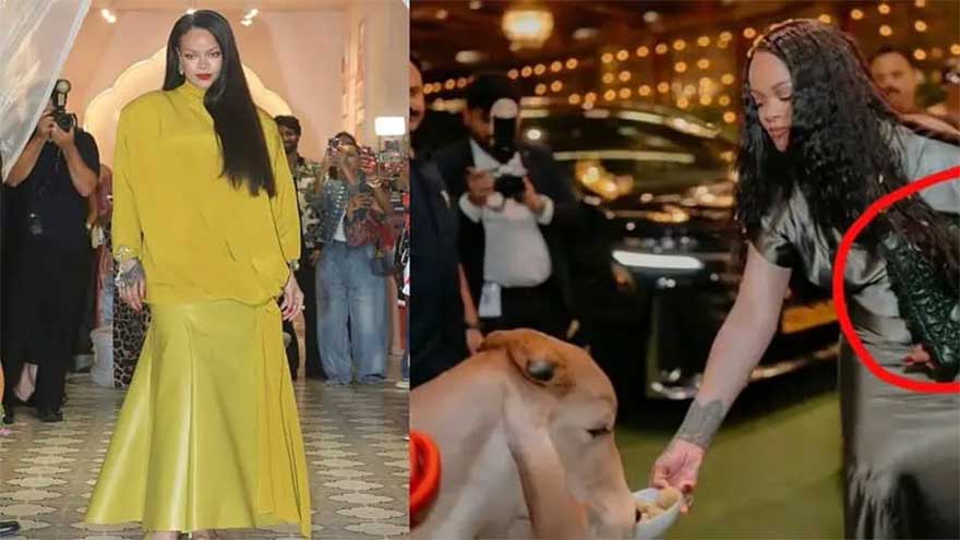 Rihanna's act of feeding calf while carrying calfskin bag ignites debate