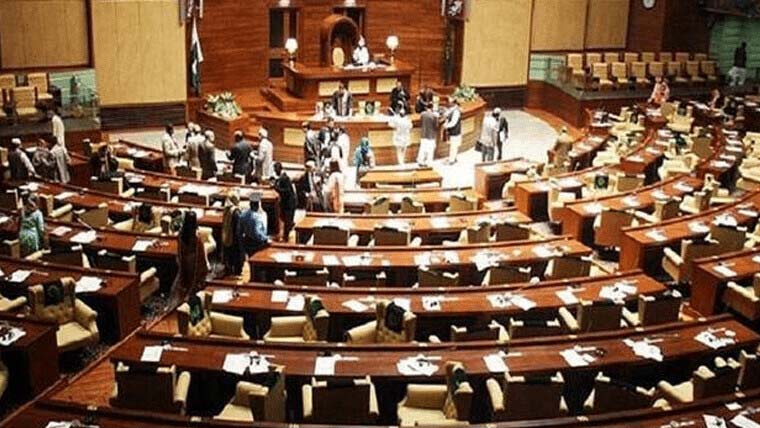 بڑھتی آبادی پر قابو پانے، وسائل بچانے کیلئے قرارداد متفقہ طور پر منظور