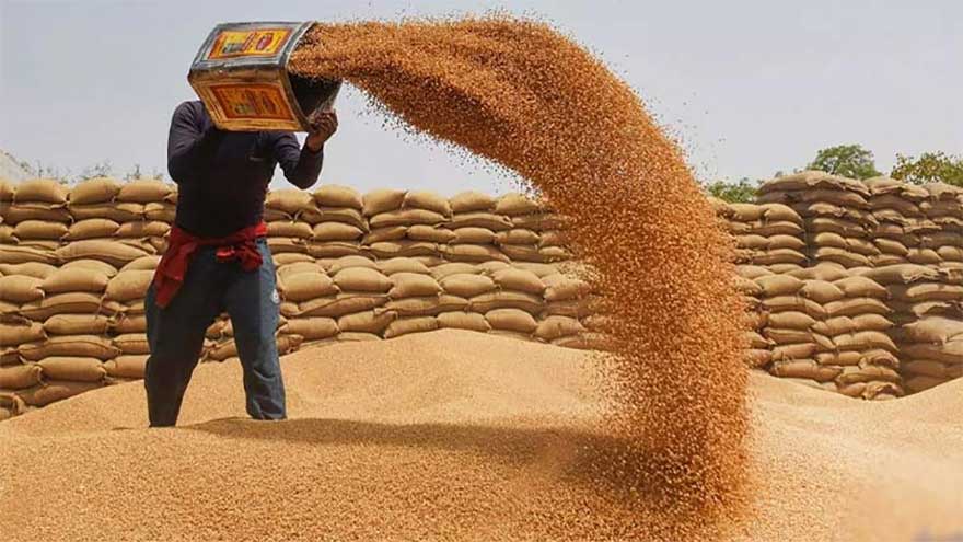 Minister says wheat prices aligned with global trends