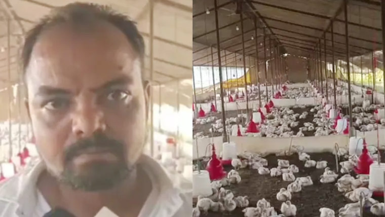 تیز موسیقی سے 140 مرغیوں کی ہلاکت کا مقدمہ درج