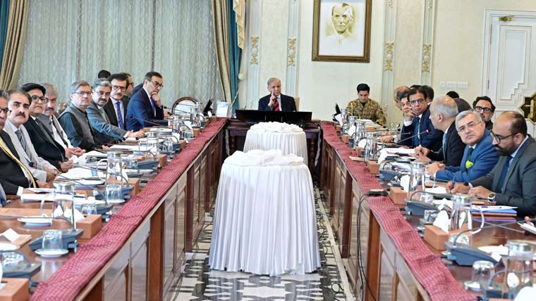 نجی سرمایہ کاری کے فروغ کیلئے پرائیویٹ ایکویٹی فنڈ قائم کیا جائے: شہباز شریف