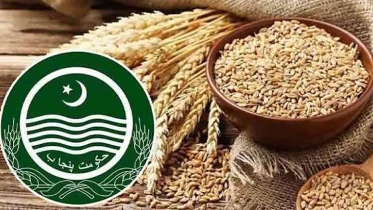 پنجاب حکومت نے گندم کی ریلیز پرائس مقرر کر دی