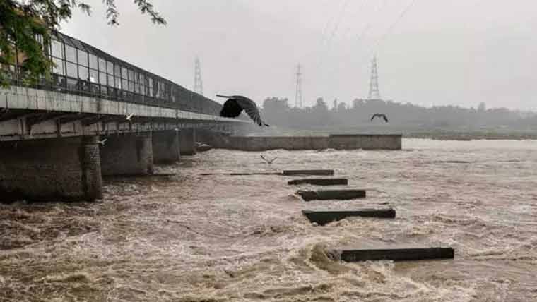 بہاولپور میں میاں بیوی دریائے ستلج میں جا گرے، بروقت کارروائی سے بچا لیا گیا